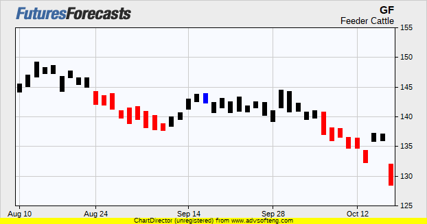 Feeder Cattle Futures Prices Chart Forecasts
